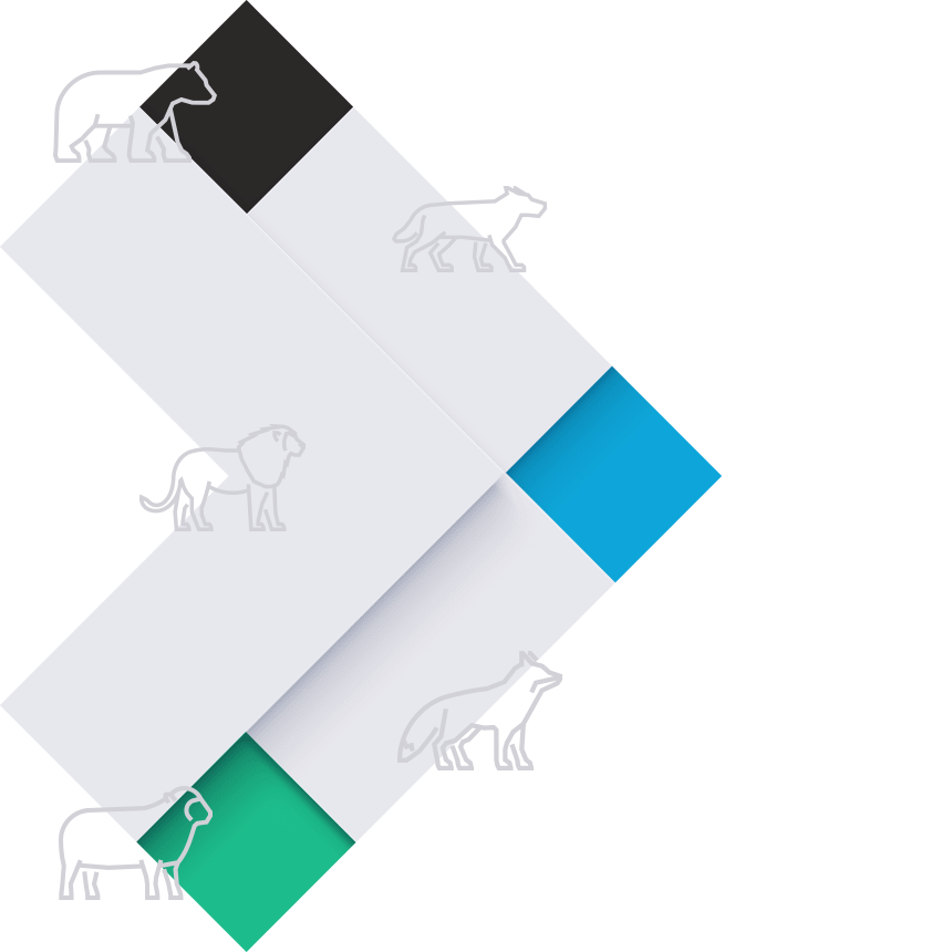 Jsme webaři tělem  i duší