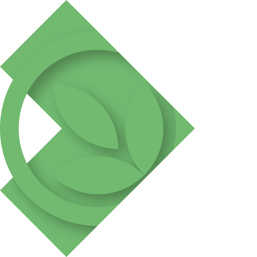 A modern platform for your website